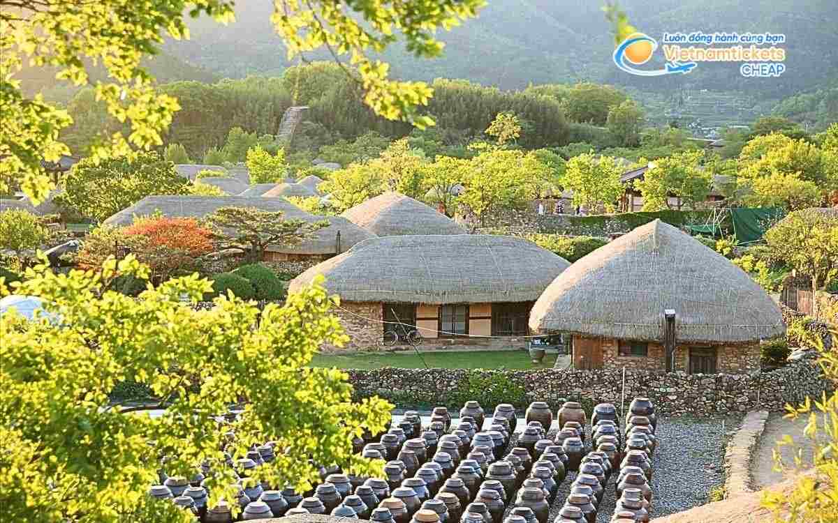 Vé máy bay đi Muan bao nhiêu tiền?