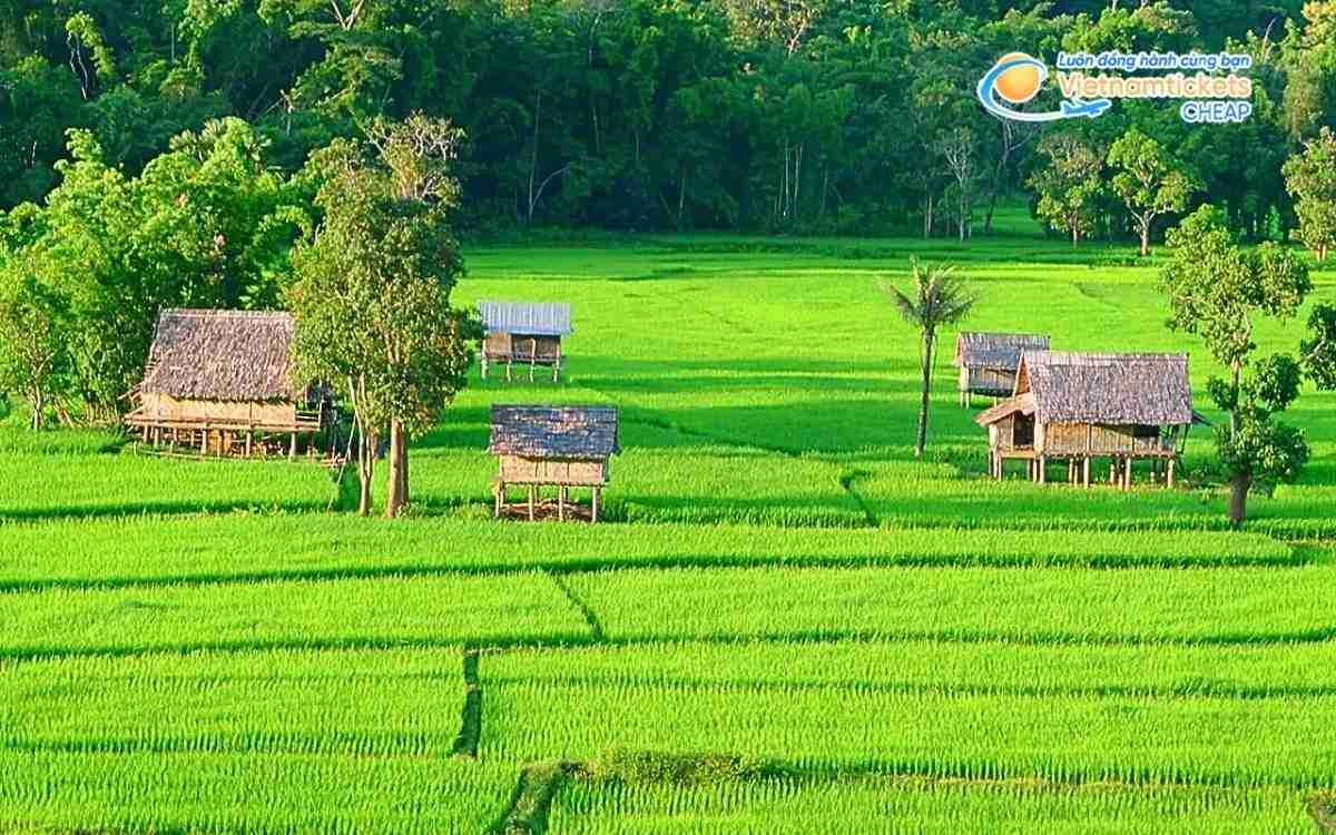 Vé máy bay đi Muang La bao nhiêu tiền?