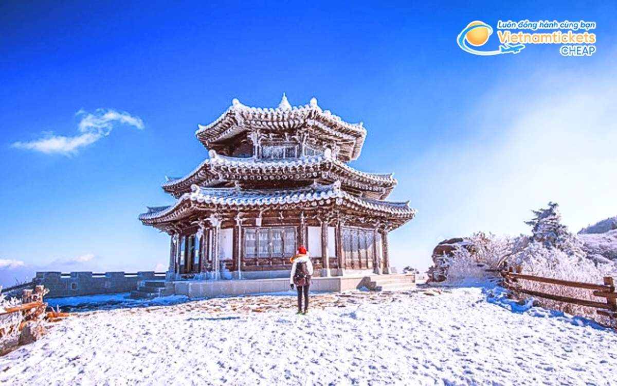 V&eacute; m&aacute;y bay đi Muju bao nhi&ecirc;u tiền?