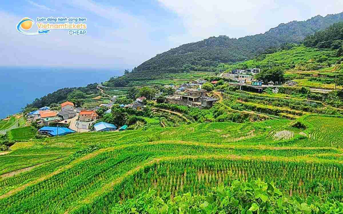 Vé máy bay đi Namhae bao nhiêu tiền?