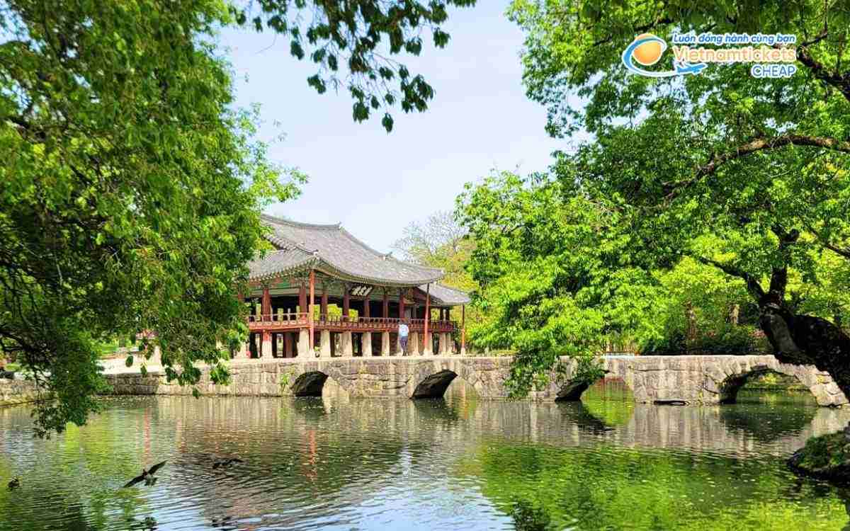 Vé máy bay đi Namwon bao nhiêu tiền?