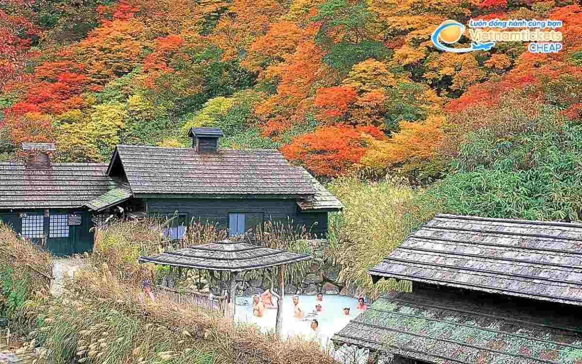 Vé máy bay đi Odate bao nhiêu tiền?