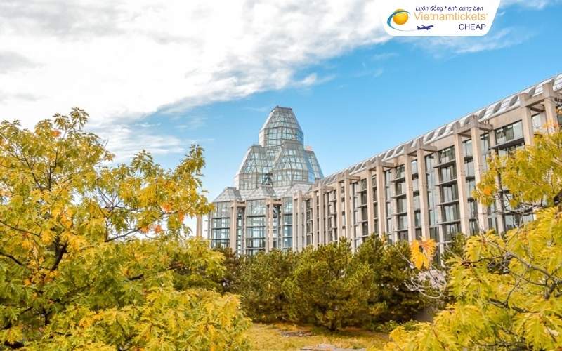 Hãng hàng không khai thác chặng bay đến Ottawa