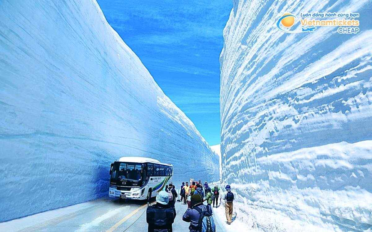 Vé máy bay đi Oyama bao nhiêu tiền?