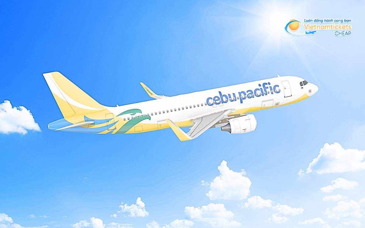 Hãng hàng không bay đi Panglao