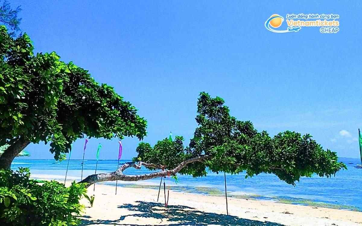 Vé máy bay đi Quezon bao nhiêu tiền?