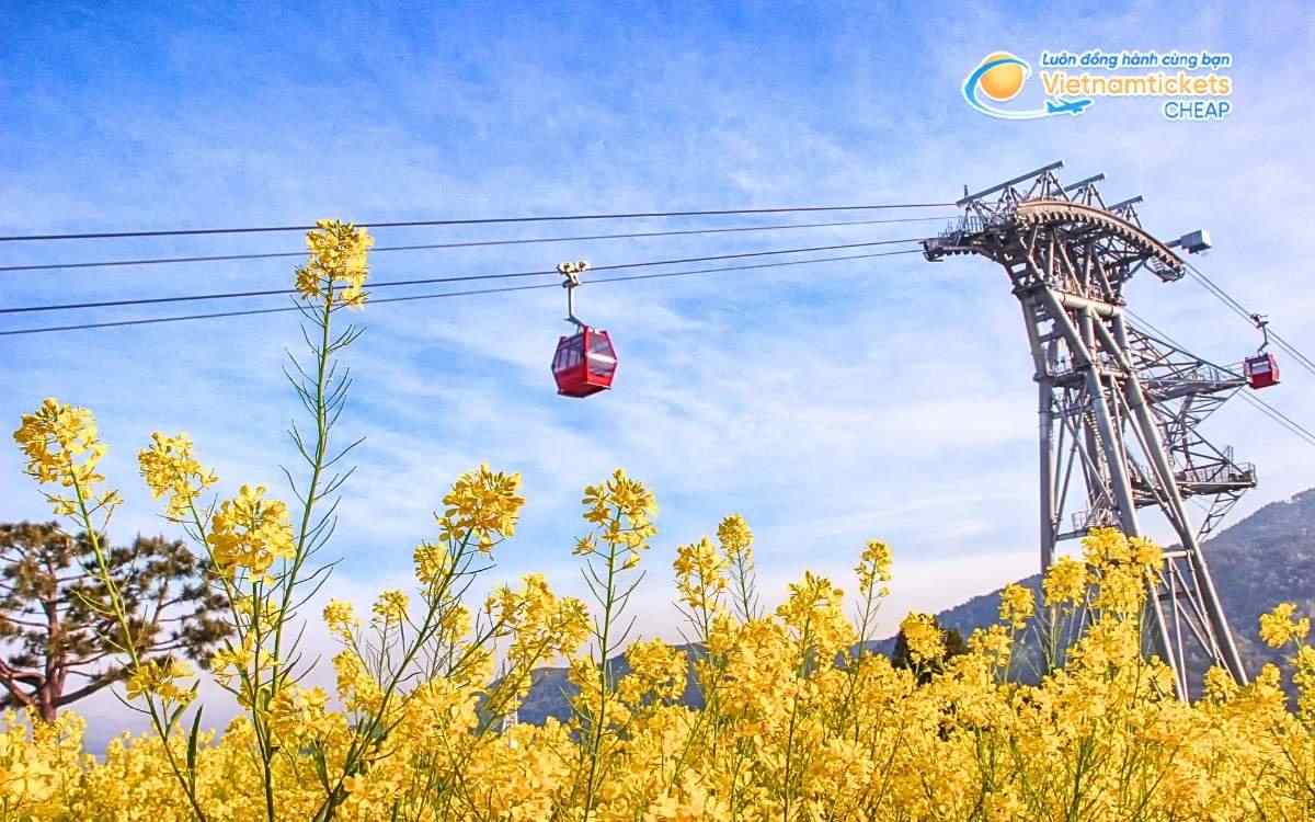 Vé máy bay đi Sacheon bao nhiêu tiền?