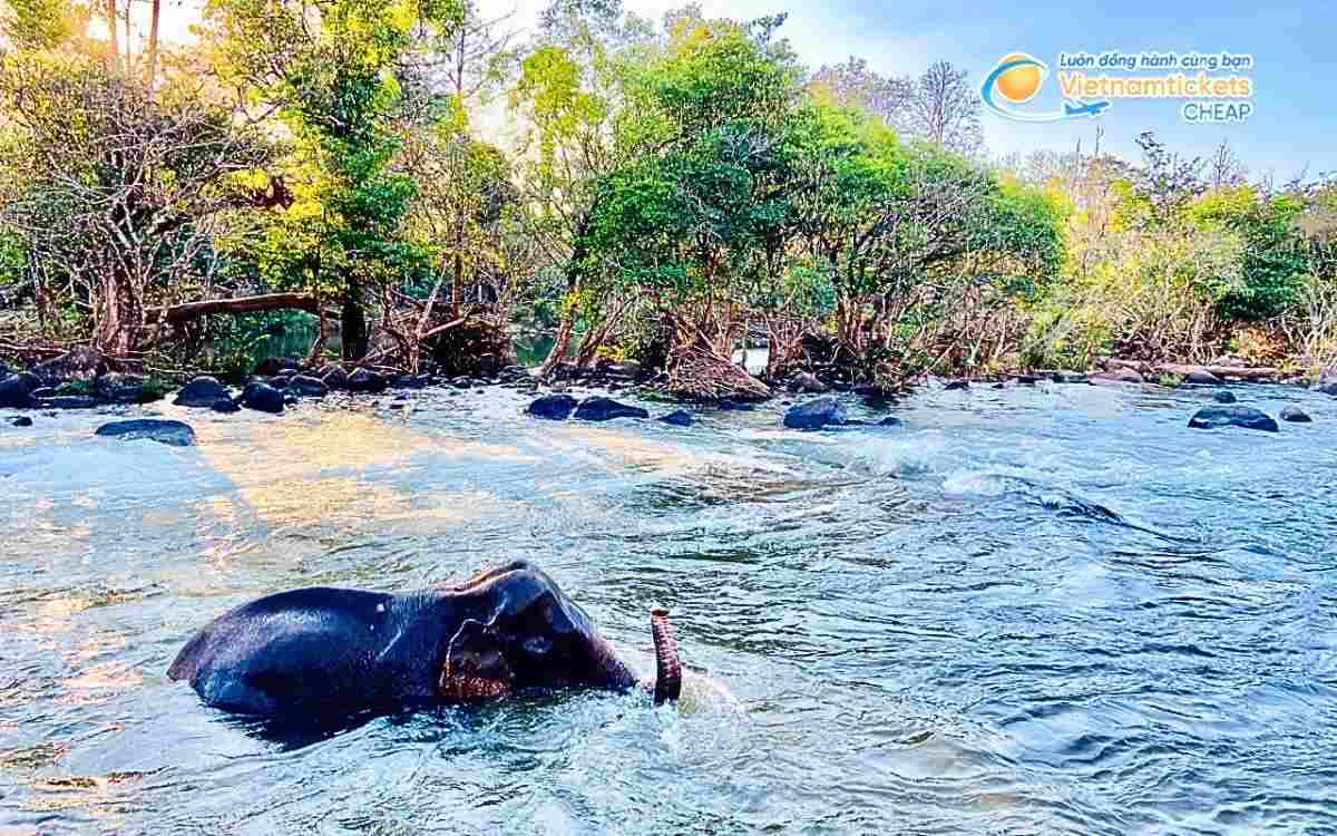 Vé máy bay đi Saravane bao nhiêu tiền?