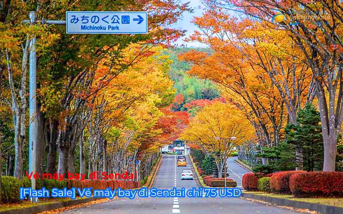 [Flash Sale] Vé máy bay đi Sendai chỉ 75 USD