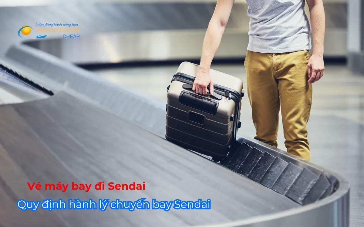 Quy định hành lý chuyến bay Sendai