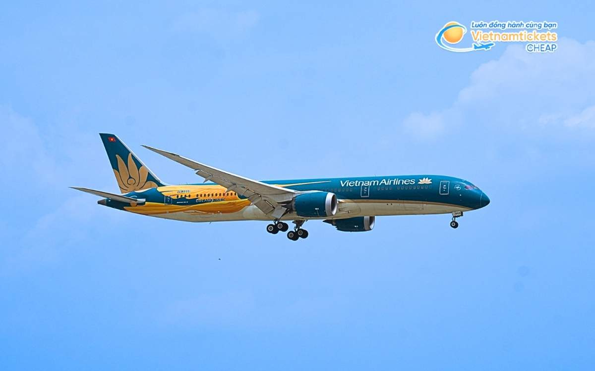 Hãng hàng không bay đi Seponh