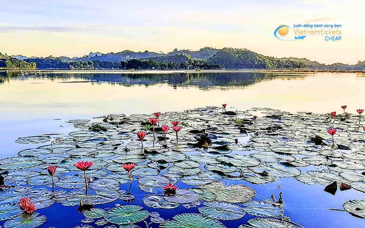 Vé máy bay đi South Cotabato bao nhiêu tiền?