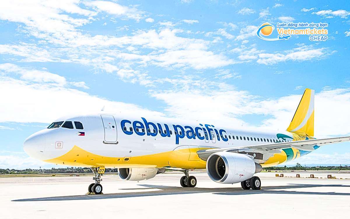 Hãng hàng không bay đi Surigao del Norte