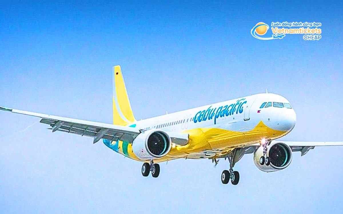 Hãng hàng không bay đi Surigao del Sur