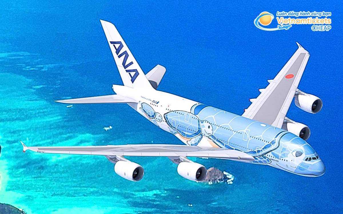 Hành trình, thời gian bay đến Suzuka