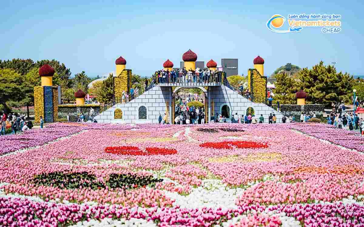 V&eacute; m&aacute;y bay đi Taean bao nhi&ecirc;u tiền?