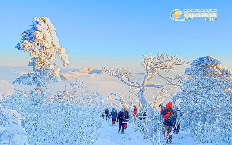 V&eacute; m&aacute;y bay đi Taebaek bao nhi&ecirc;u tiền?