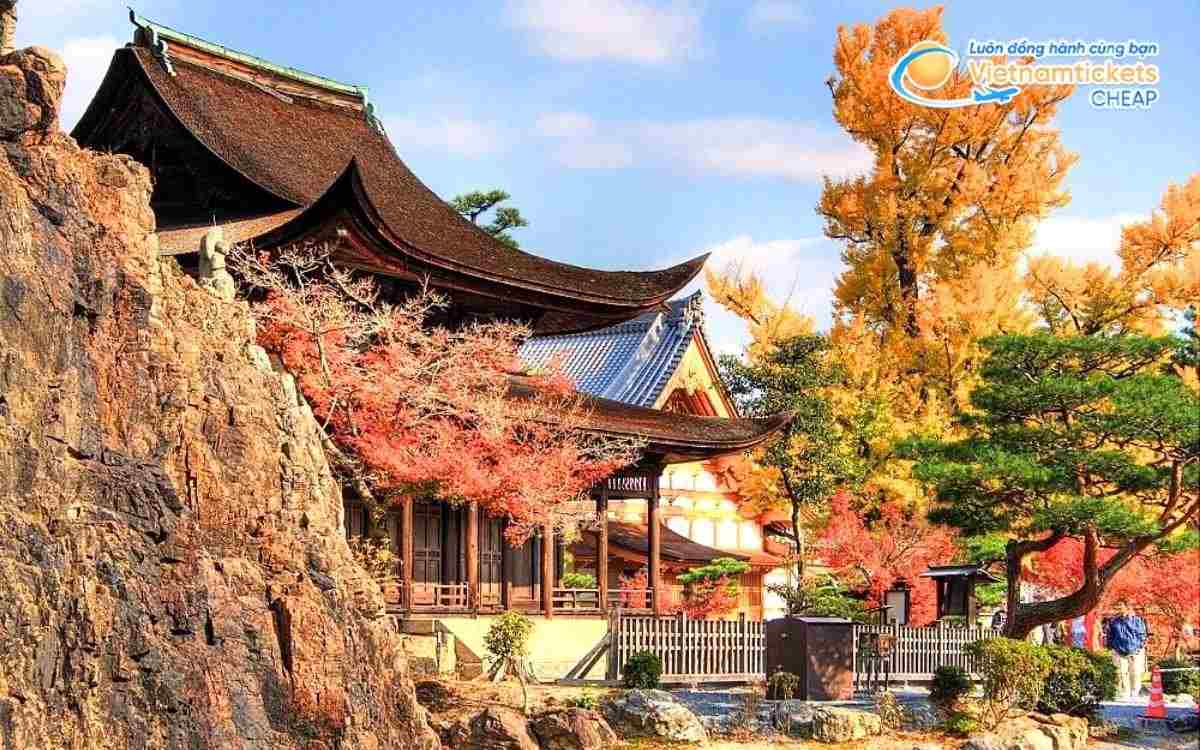 Vé máy bay đi Tajimi bao nhiêu tiền?