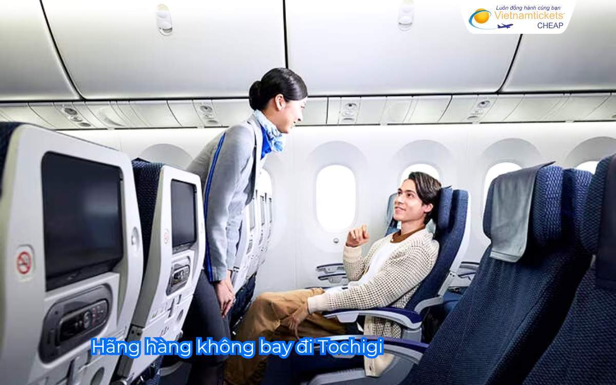 Hãng hàng không bay đi Tochigi