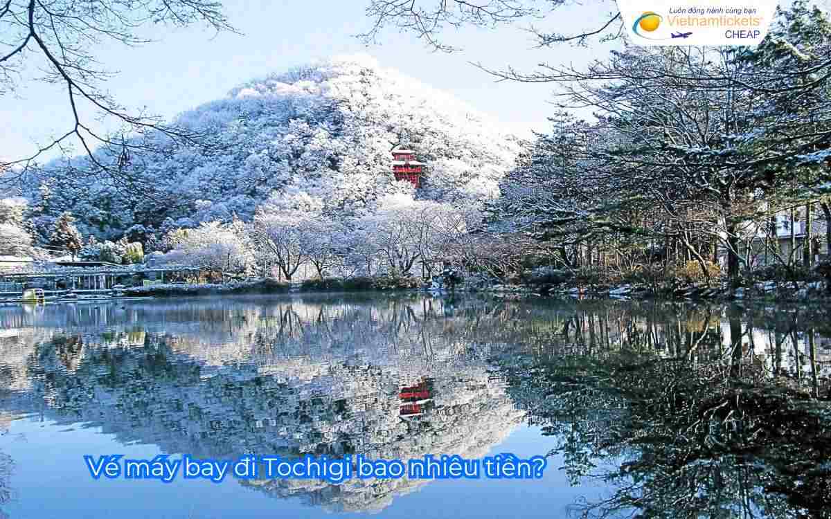 Vé máy bay đi Tochigi bao nhiêu tiền?