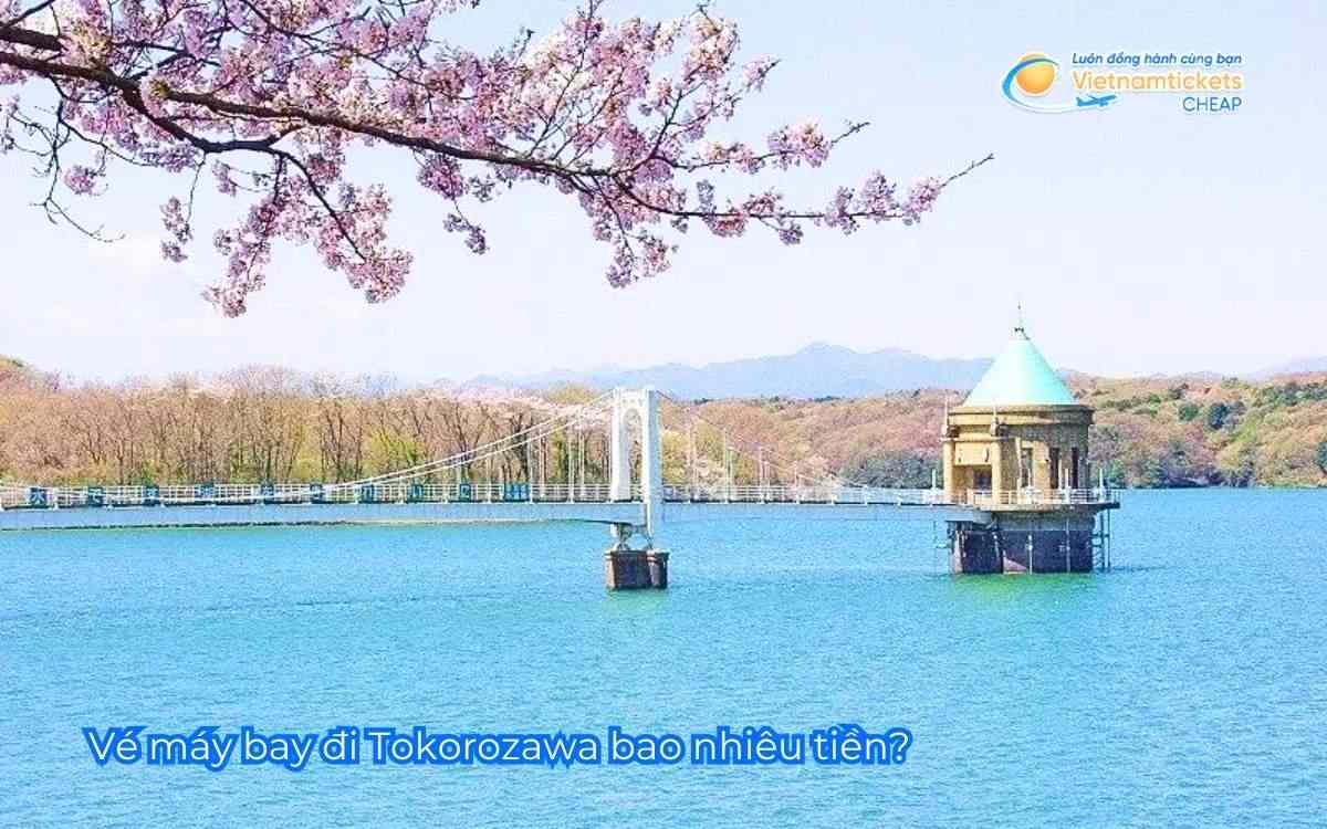 Vé máy bay đi Tokorozawa bao nhiêu tiền?