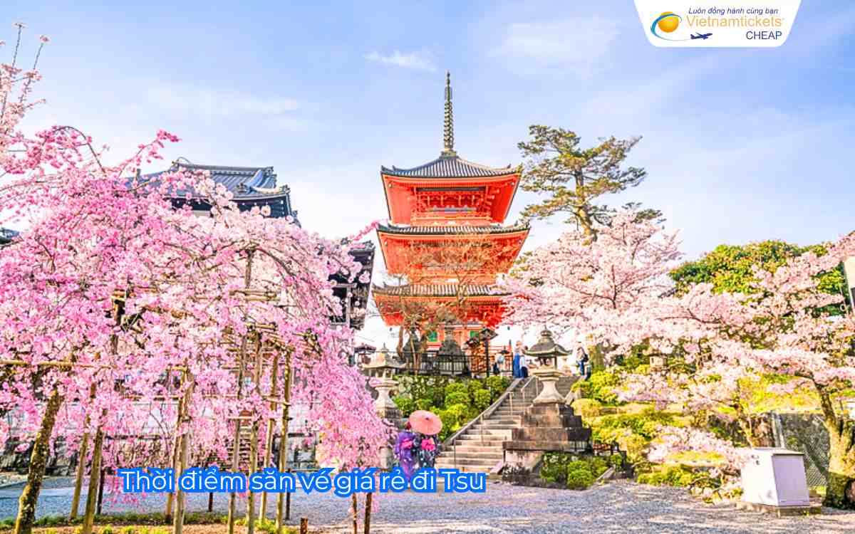 Thời điểm săn vé giá rẻ đi Tsu 