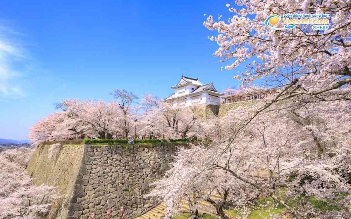 V&eacute; m&aacute;y bay đi Tsuyama bao nhi&ecirc;u tiền?