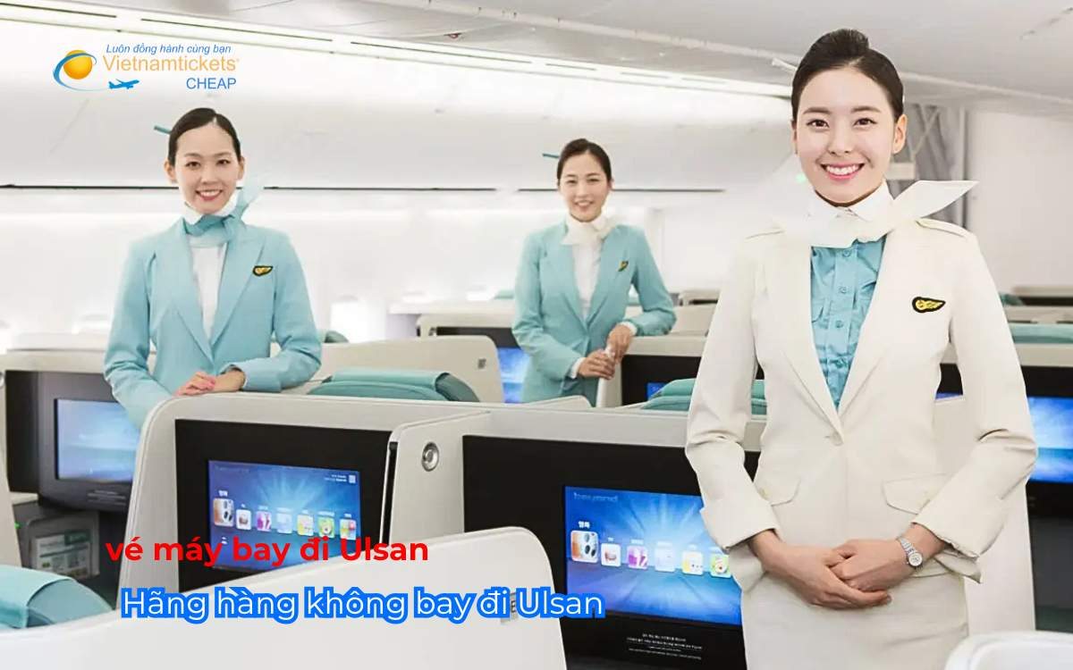 Hãng hàng không bay đi Ulsan tốt nhất
