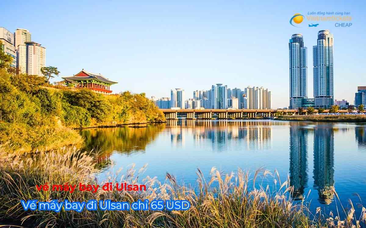 Vé máy bay đi Ulsan chỉ 65 USD 