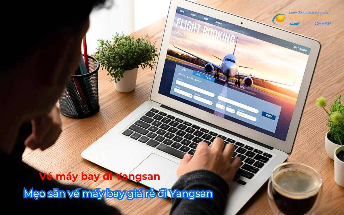 Mẹo săn vé máy bay giá rẻ đi Yangsan