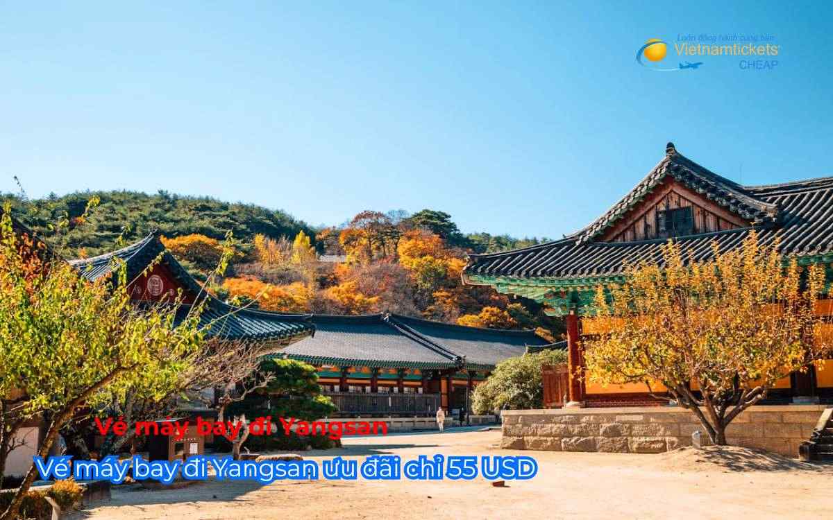 vé máy bay đi Yangsan ưu đãi chỉ 55 usd
