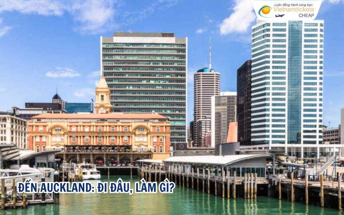 Đến Auckland: Đi đâu, làm gì?