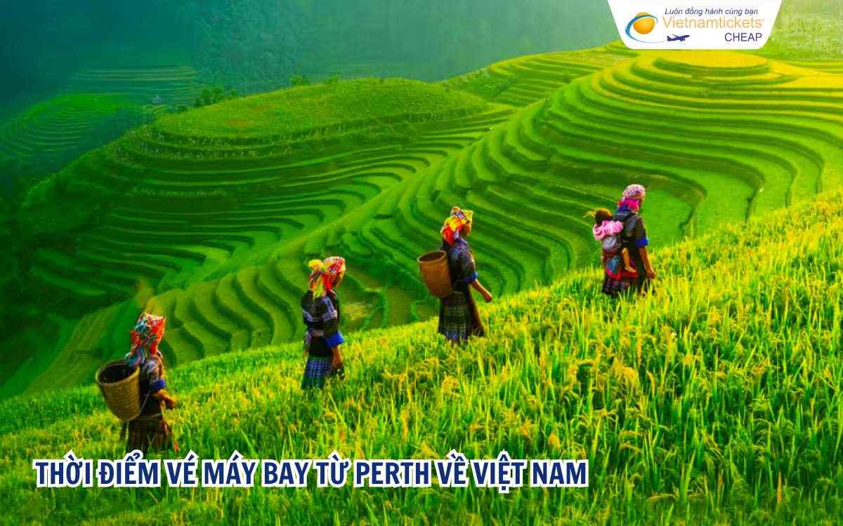 Thời điểm đặt vé máy bay từ Perth về Việt Nam