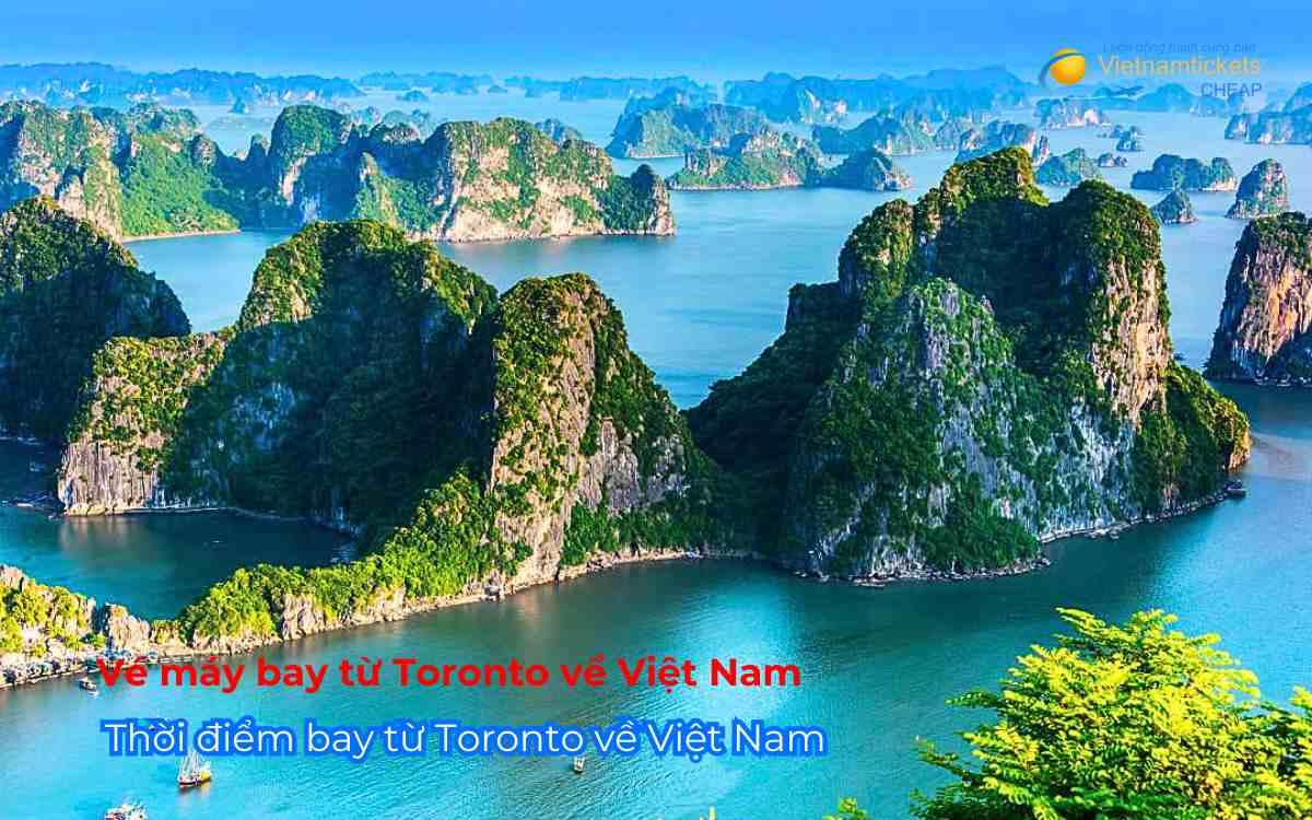 Thời điểm bay từ Toronto về Việt Nam