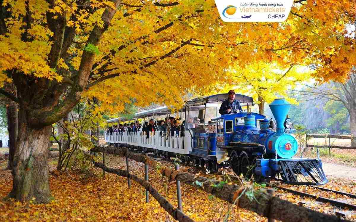 Thời điểm đặt vé máy bay đi Hàn Quốc