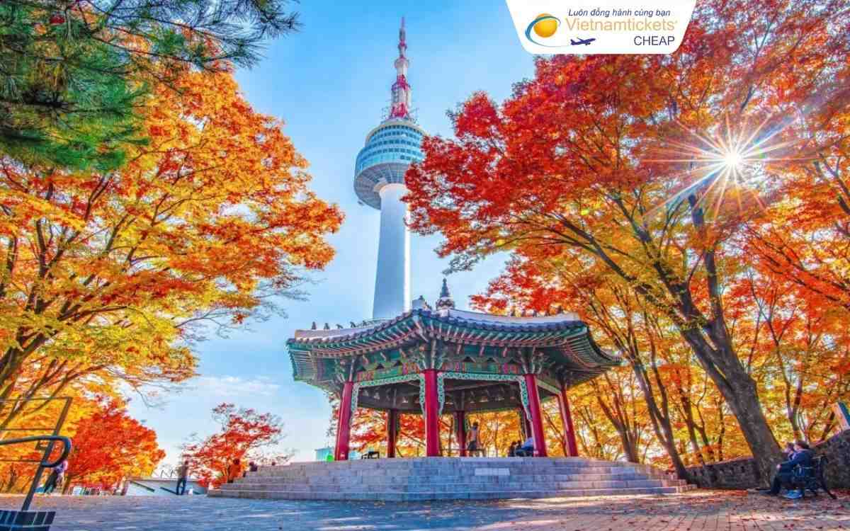 Thông tin vé máy bay từ TPHCM đi Hàn Quốc