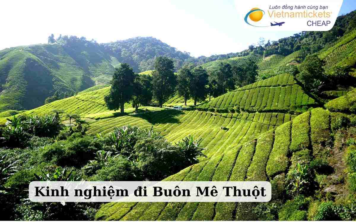 Kinh nghiệm đi Buôn Mê Thuột