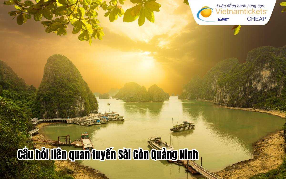 Câu hỏi liên quan tuyến Sài Gòn Quảng Ninh