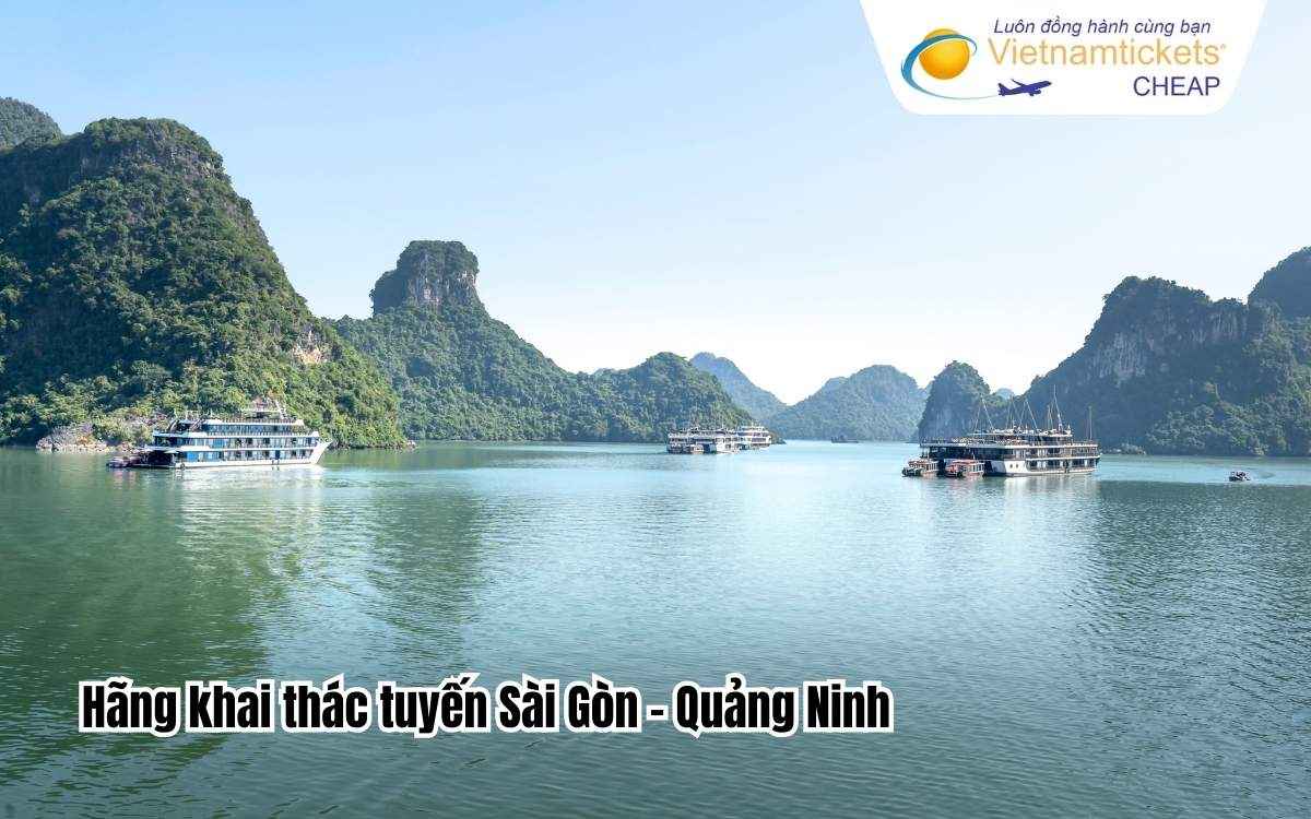 Hãng khai thác tuyến Sài Gòn - Quảng Ninh