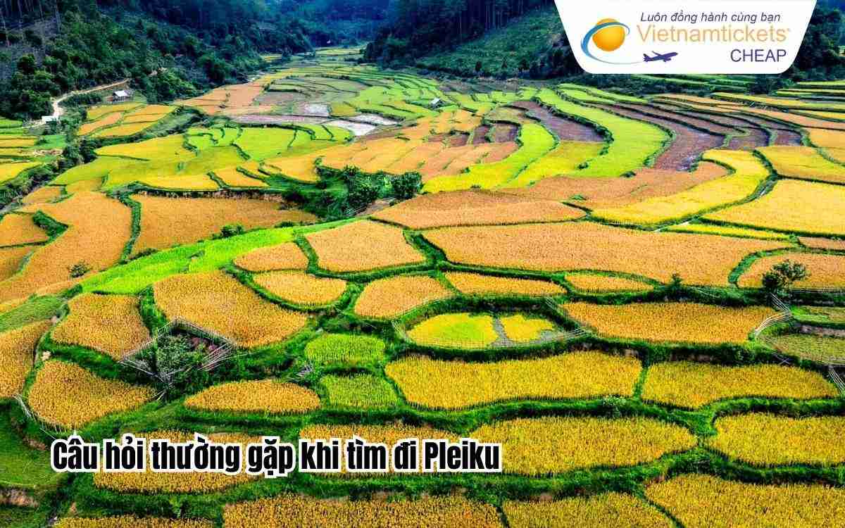 Câu hỏi thường gặp khi tìm đi Pleiku