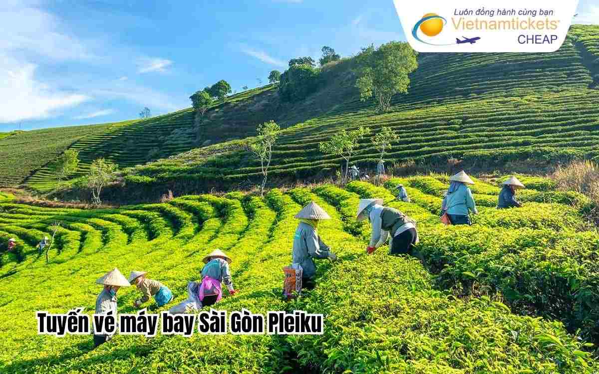 Tuyến vé máy bay Sài Gòn Pleiku