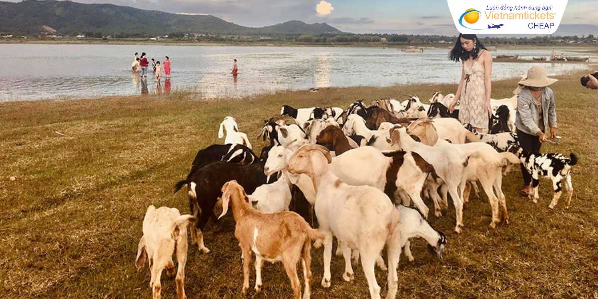Bãi bồi Tiên Sơn