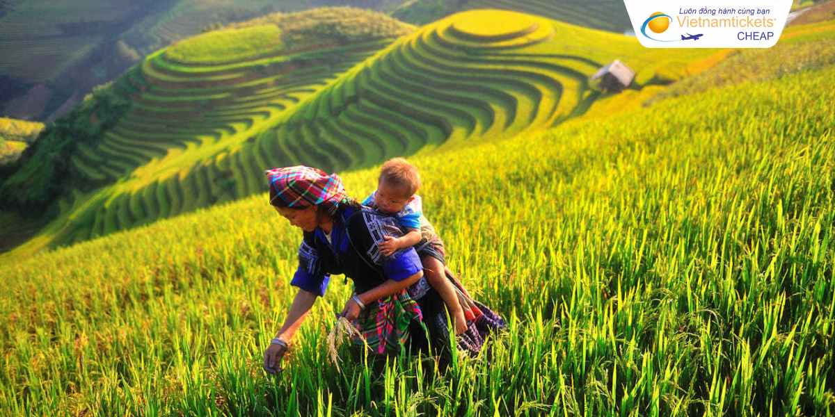 Cung bậc rực rỡ tại Mù Cang Chải