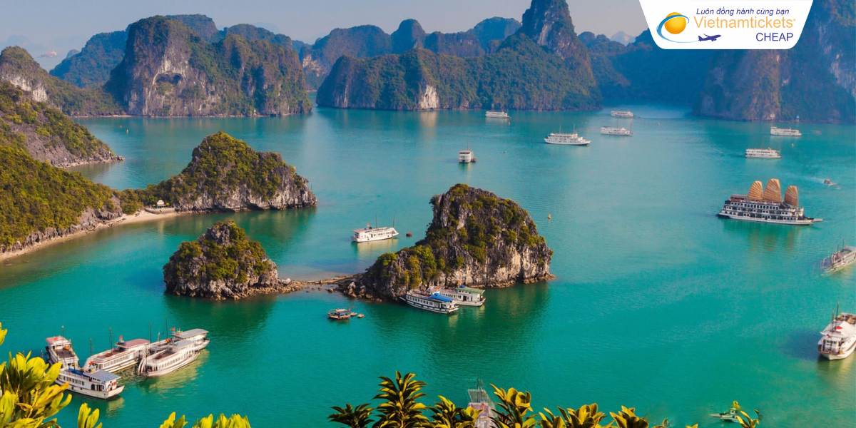 Vịnh Hạ Long