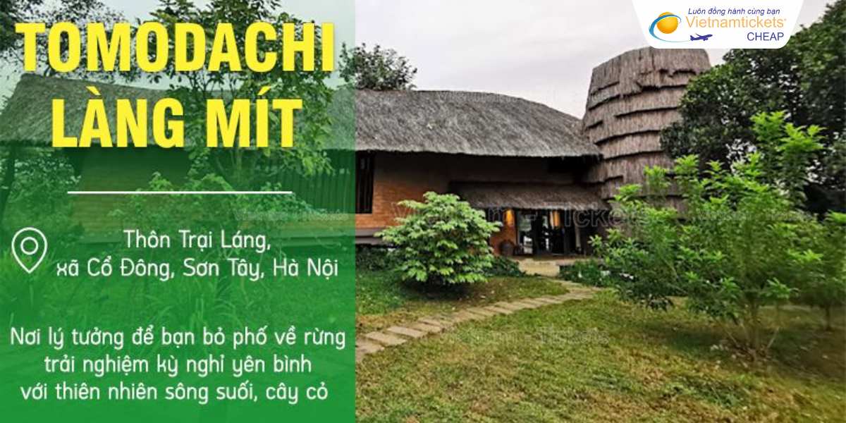 Tomodachi Làng Mít