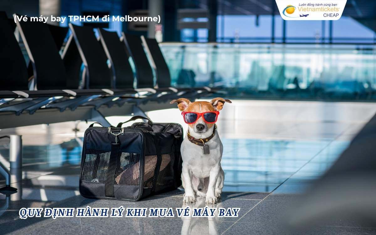 Quy định hành lý khi mua vé máy bay