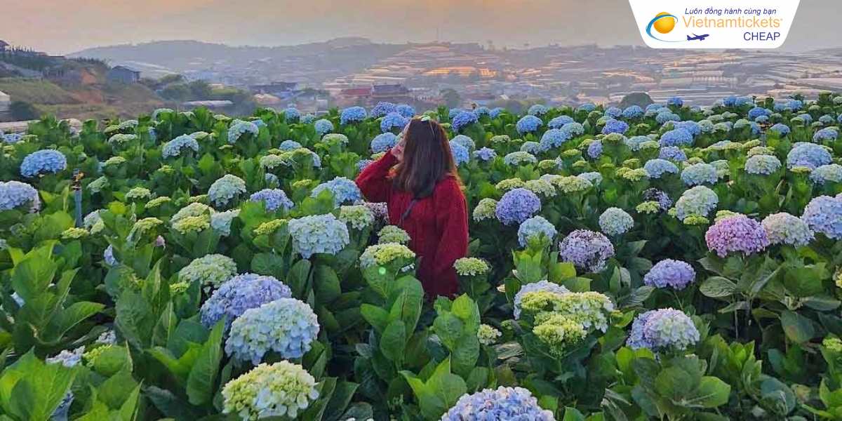 Lịch trình du lịch Đà Lạt tham khảo