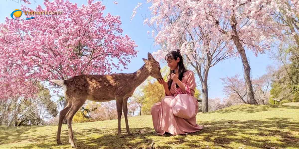 Công viên Nara Park