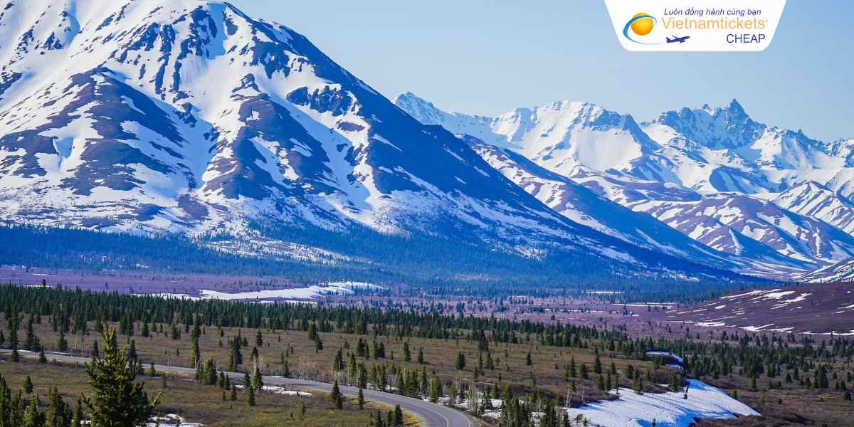 Du lịch lý tưởng ở Denali National Park