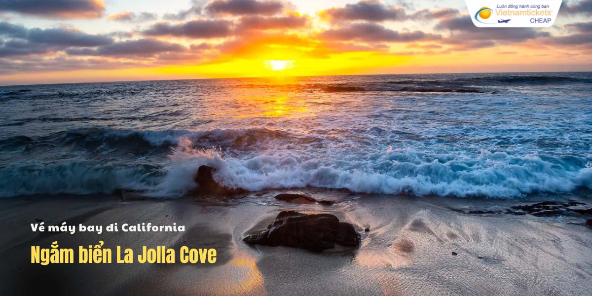 Ngắm biển ​La Jolla Cove